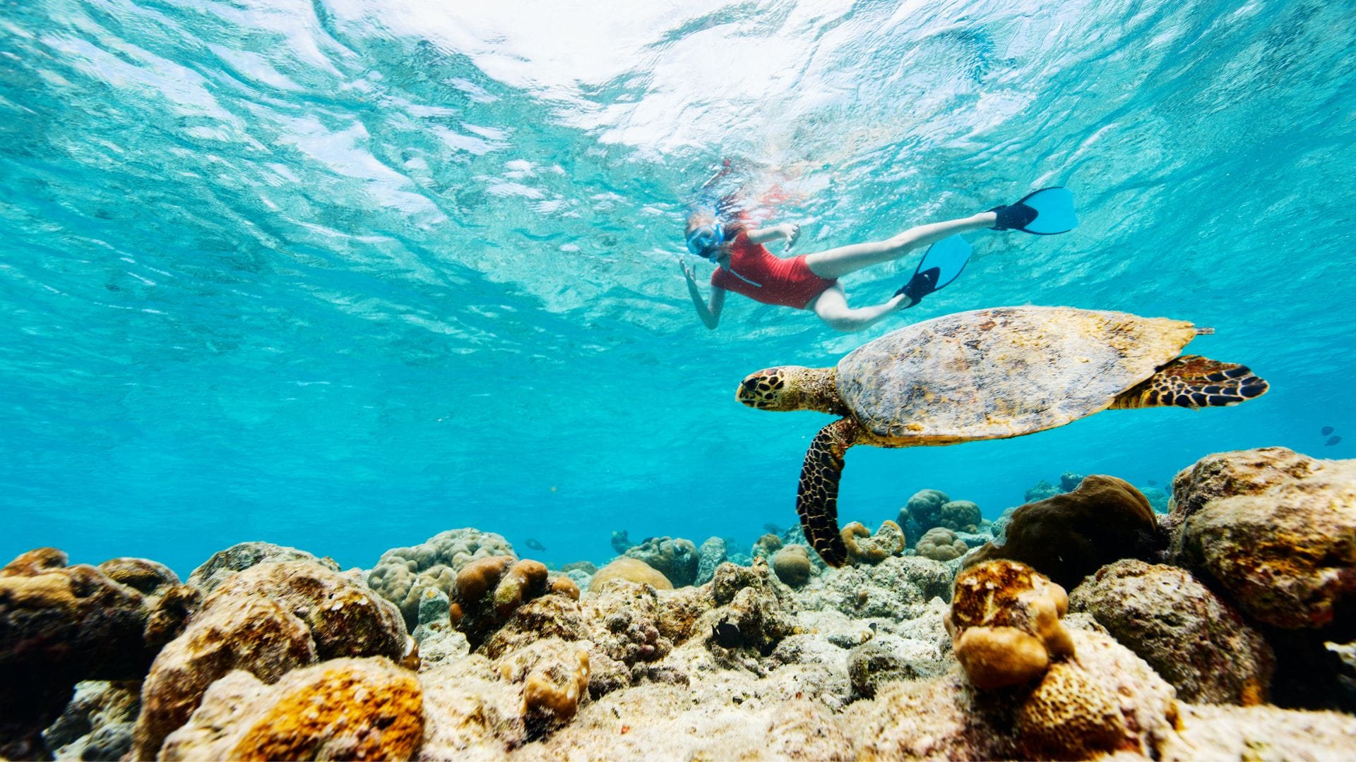 Snorkeling-Experience-with-Unique-Tours