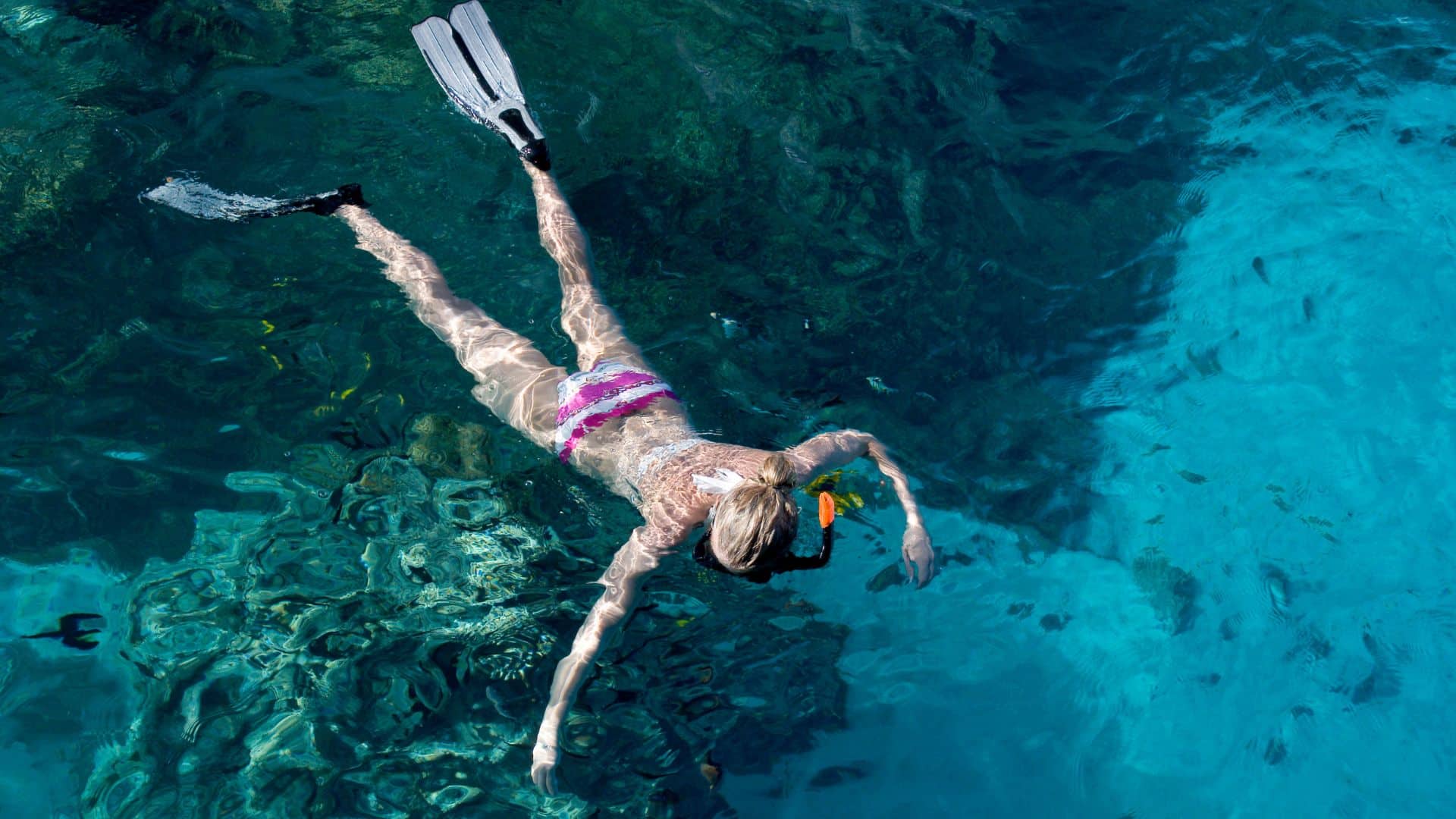 Snorkeling-in-Waikiki
