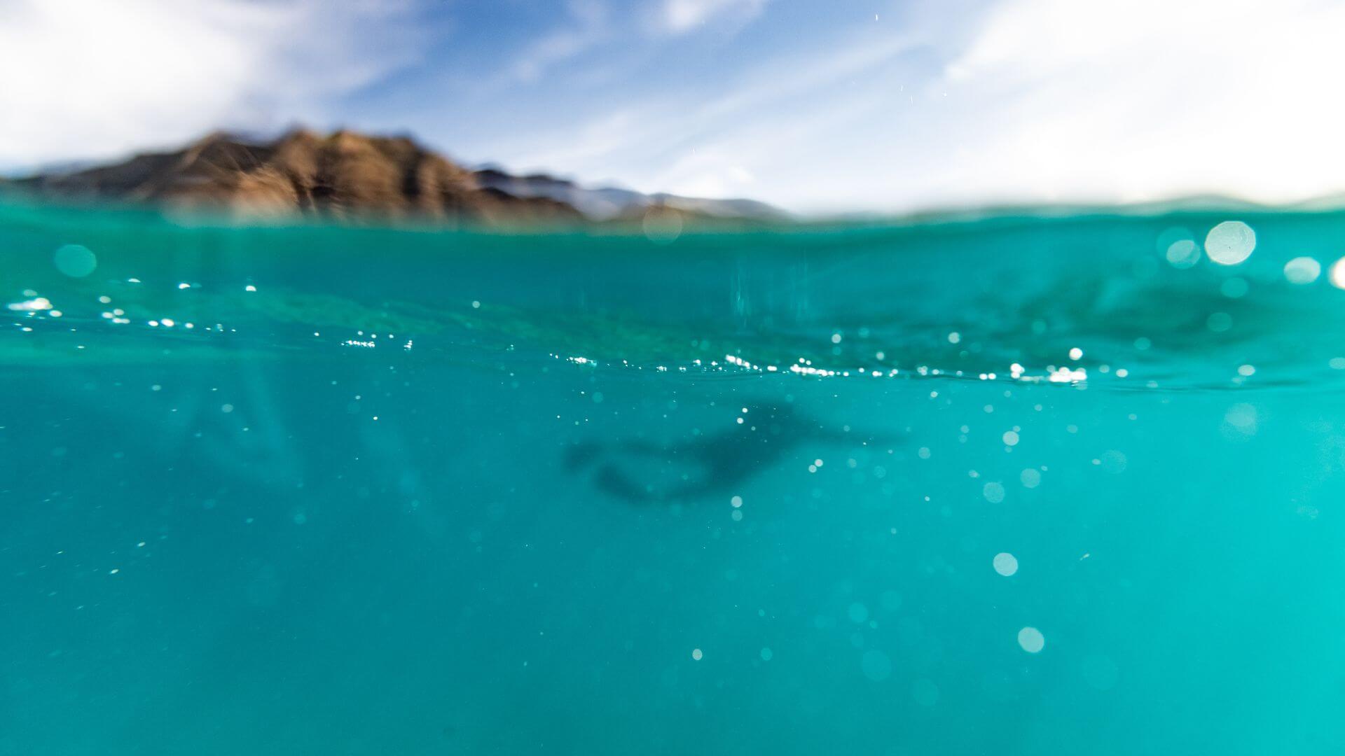 best-snorkel-spots-Oahu