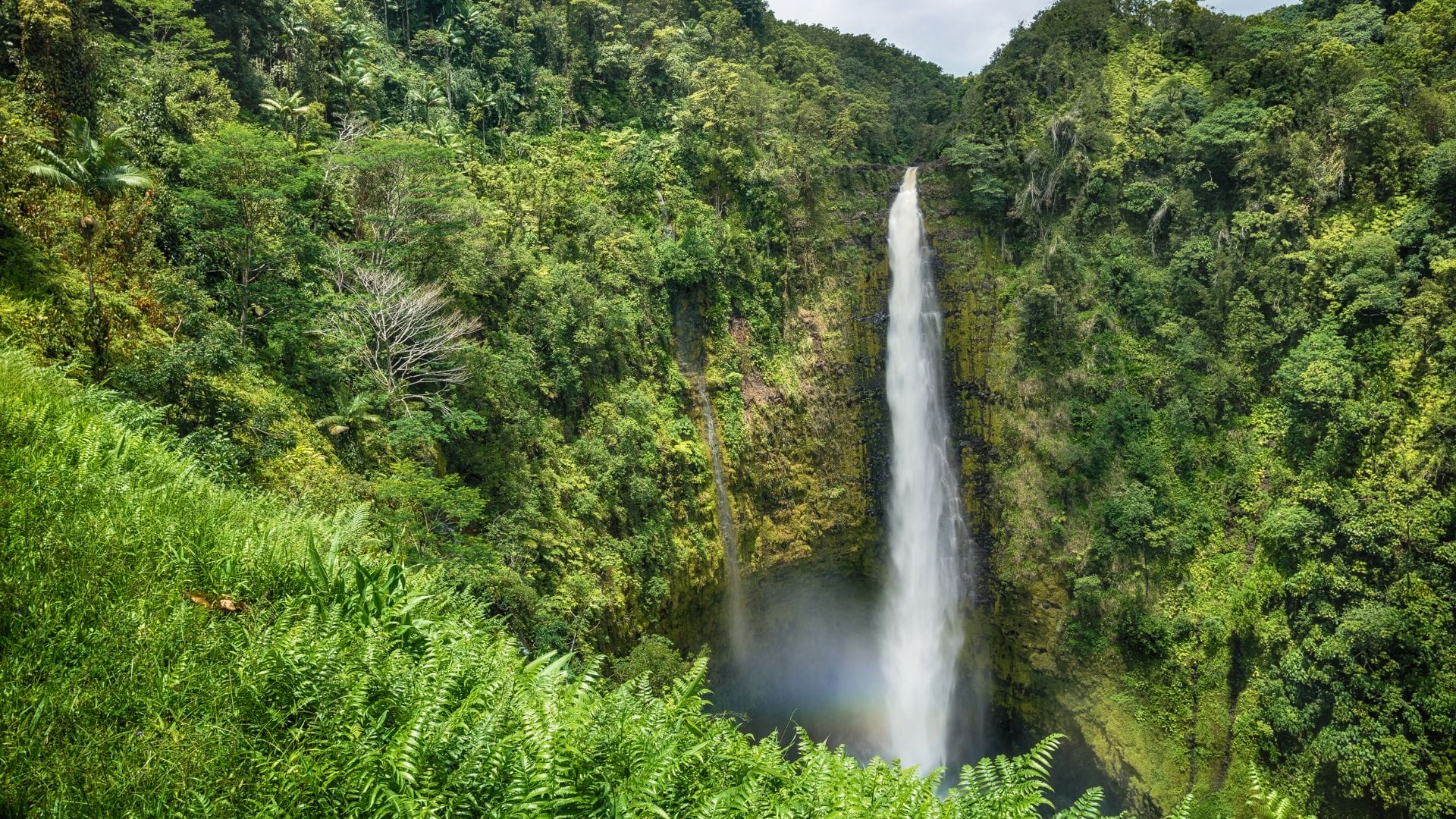 Akaka-Falls