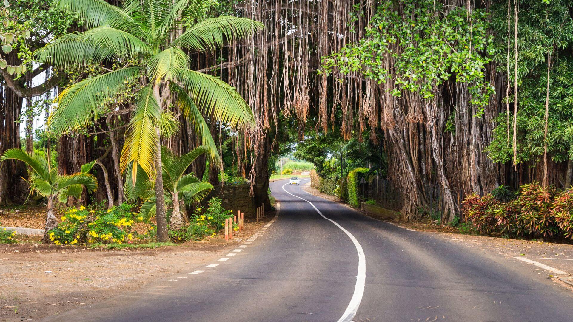 Big-Island-Hawaii-Transportation-Tips Big-Island-Hawaii-Transportation-and-Travel-Tips