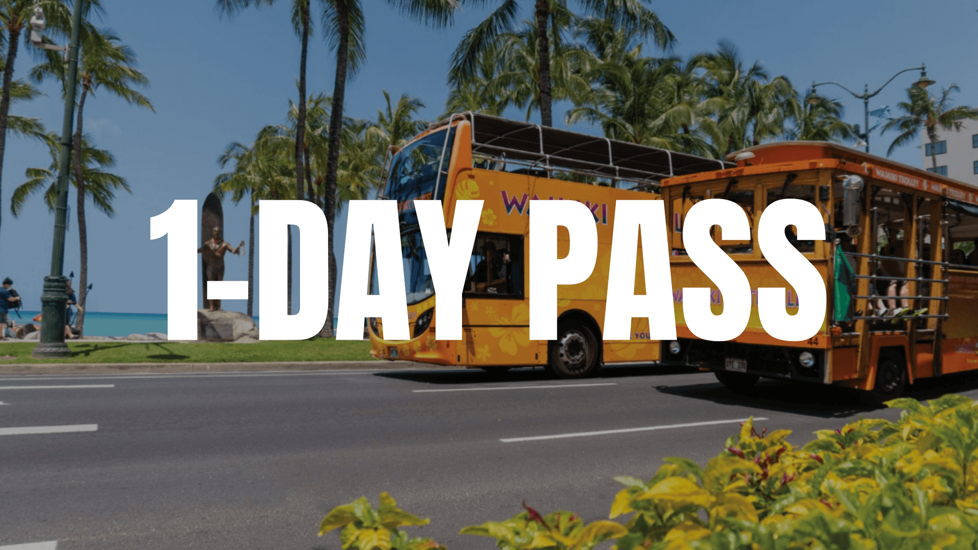 Waikiki Trolley 1-Day Pass