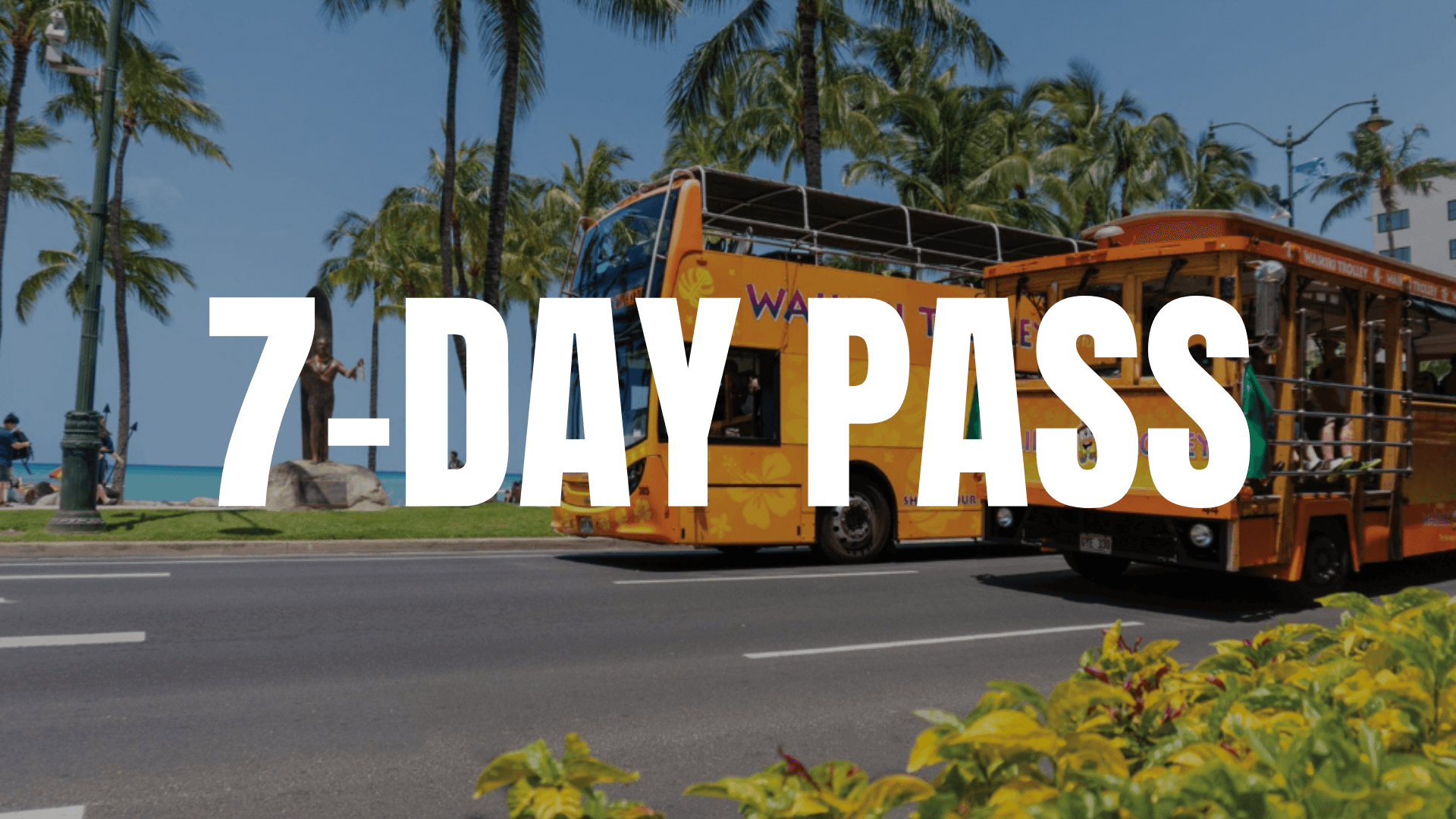 Waikiki Trolley 7-Day Pass
