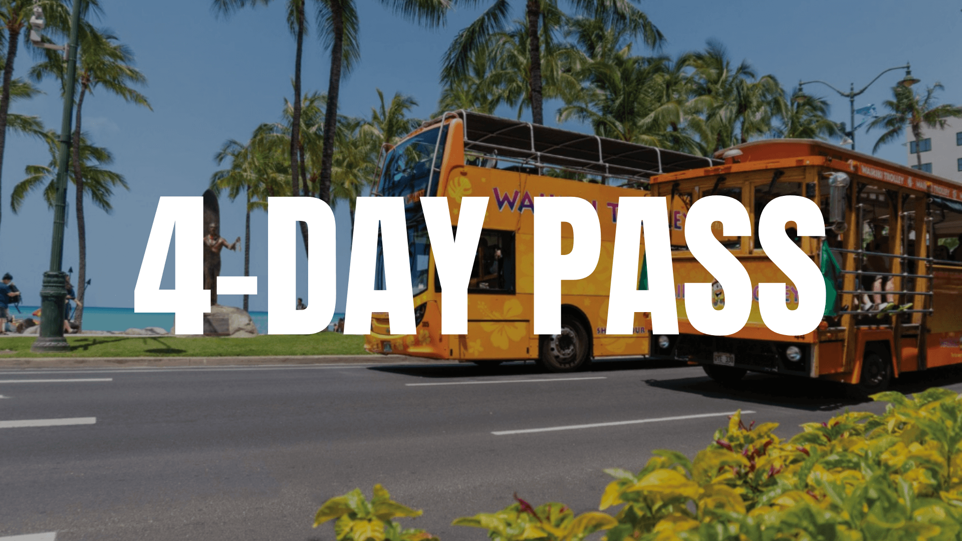 Waikiki Trolley 4-Day Pass