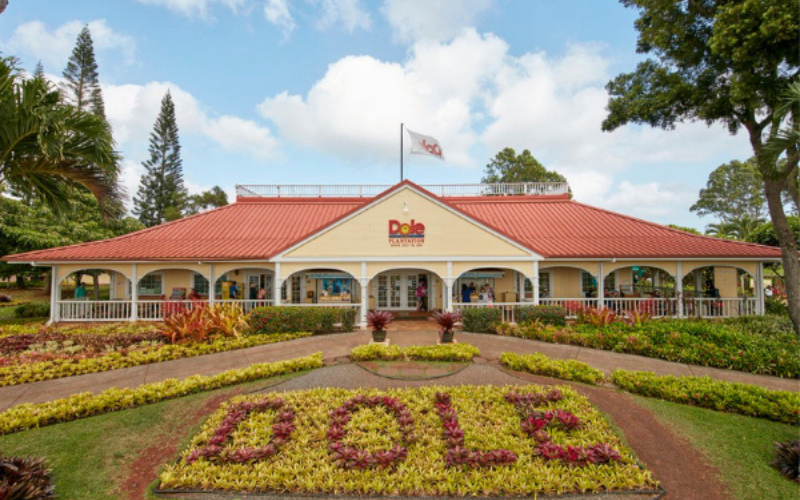 visit dole plantation oahu