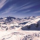 LoveTravel812513 Avatar