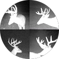 Rich Luckie Avatar