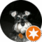 Bernard Murray II Avatar